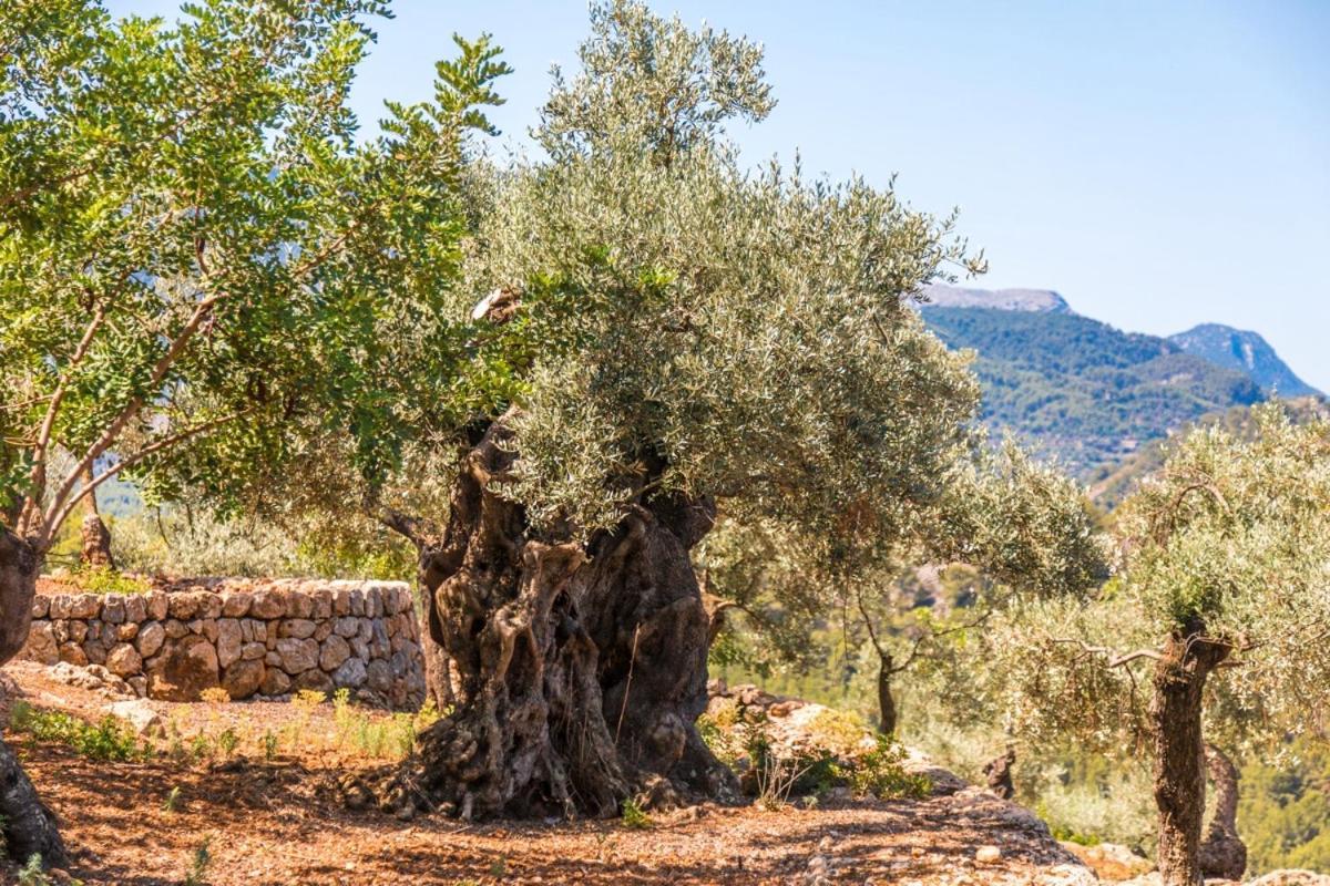 Finca Rural Es Pujol Sóller Exterior foto
